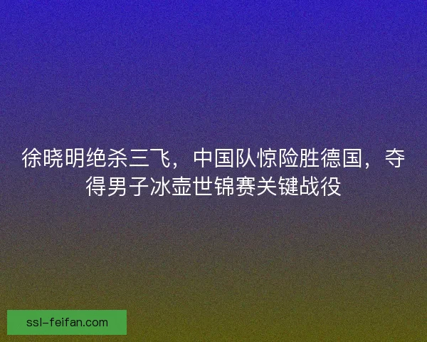 徐晓明绝杀三飞,中国队惊险胜德国,夺得男子冰壶世锦赛关键战役 徐晓明绝杀三飞,中国队惊险胜德国,夺得男子冰壶世锦赛关键战役