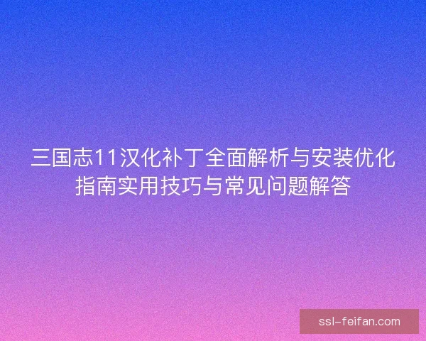三国志11汉化补丁全面解析与安装优化指南实用技巧与常见问题解答 三国志11汉化补丁全面解析与安装优化指南实用技巧与常见问题解答
